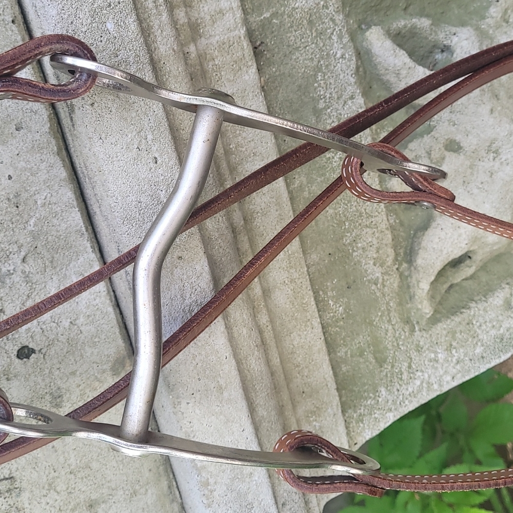 Western Bridle - Picture 6 of 8